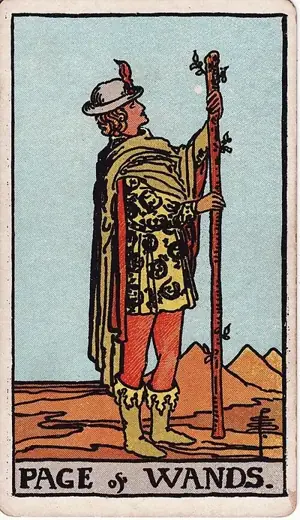 Valete de Paus